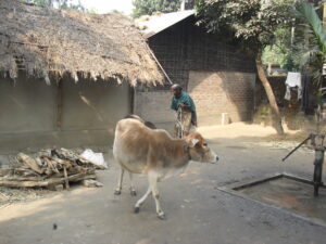 Small Financial Assistance