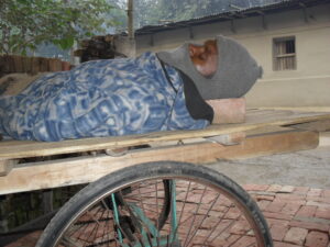 Sleeping under open sky